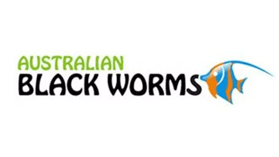 Australian Blackworms