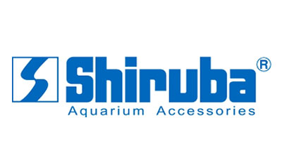 Shiruba
