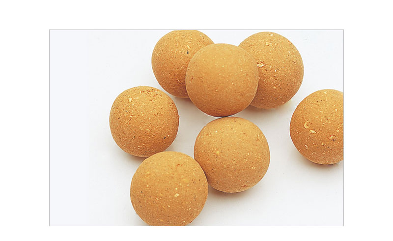 ADA-Bacter-Ball-4