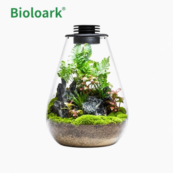 Bioloark SD200 glass terrarium display with 5W LED light and 200mm by 303mm glass body