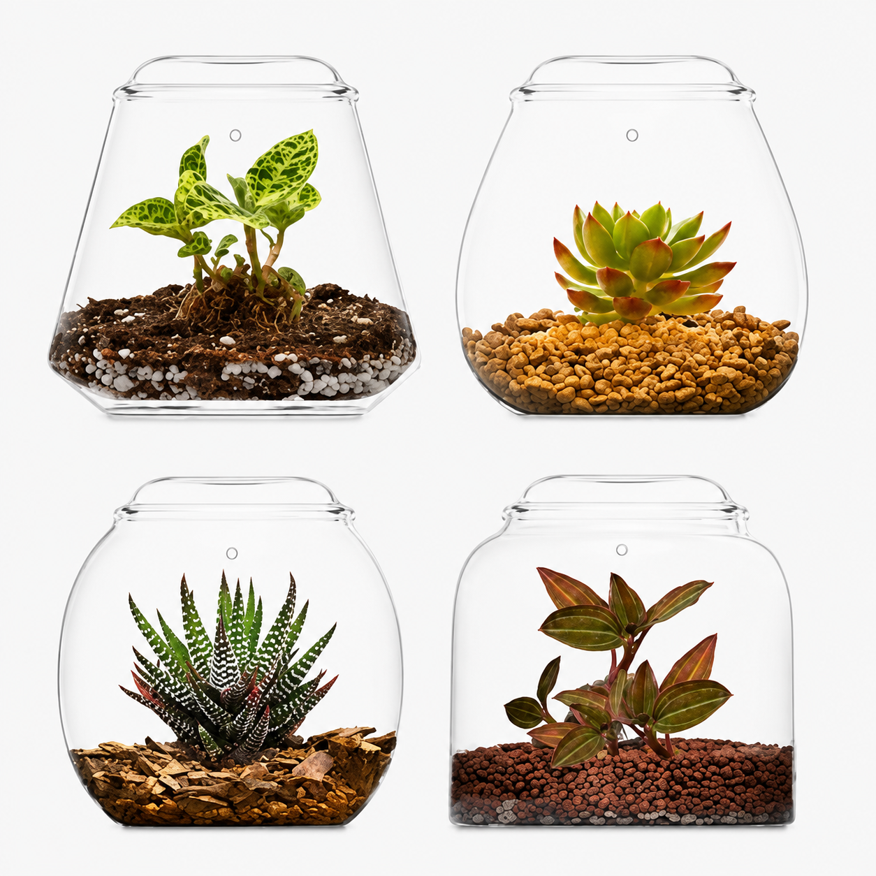 bioloark bubble set (2)