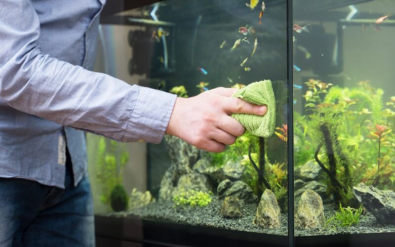 Male hand cleaning aquarium using microfiber towel.