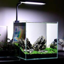 aquarium-decoration-solutions-1