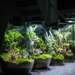 aquarium-decoration-solutions-2