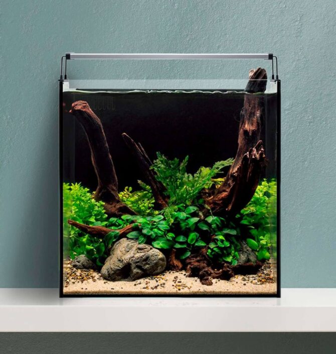 aquariums