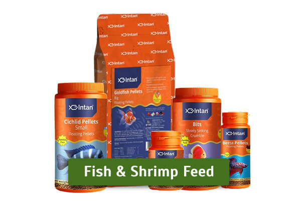 fish-feed fish-feed
