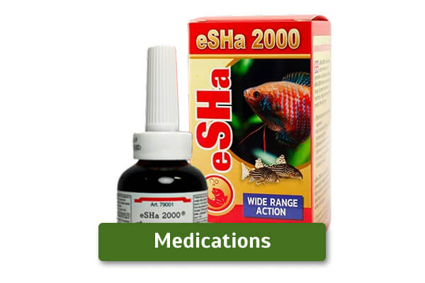 fish-medications fish-medications