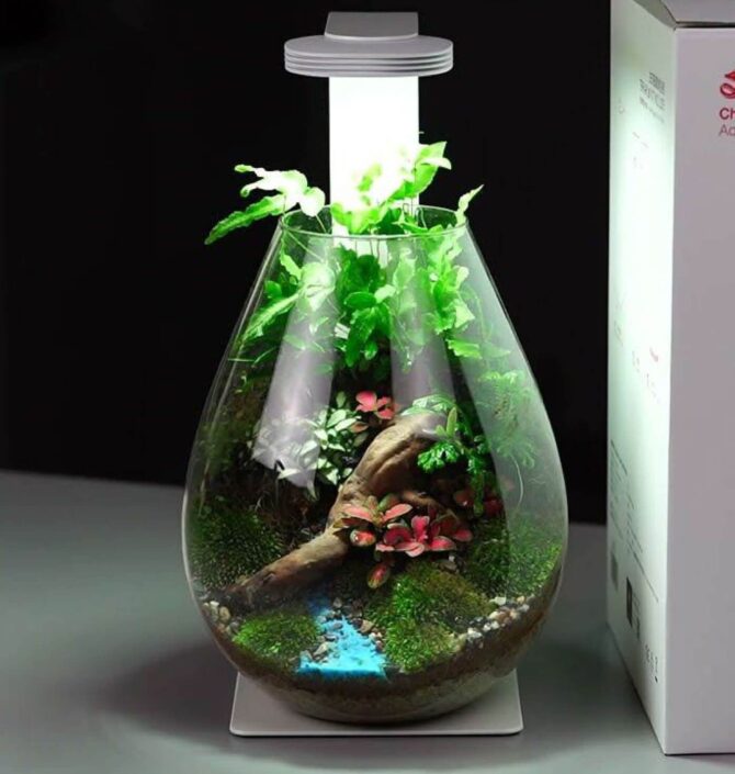 terrariums