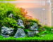 featured_image_-_high_tech_planted_tank