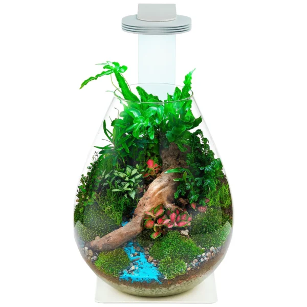 Chihiros Magnetic Light Plus Base with Glass Pot for terrarium