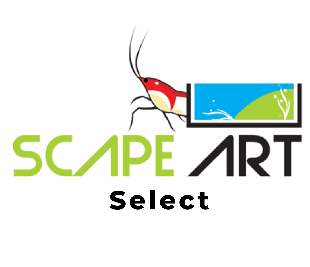 Scape Art Select