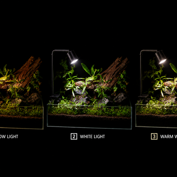 Aquarium Spot Light 5W LED spotlight with adjustable 10°–45° beam for aquariums, terrariums, and paludariums
