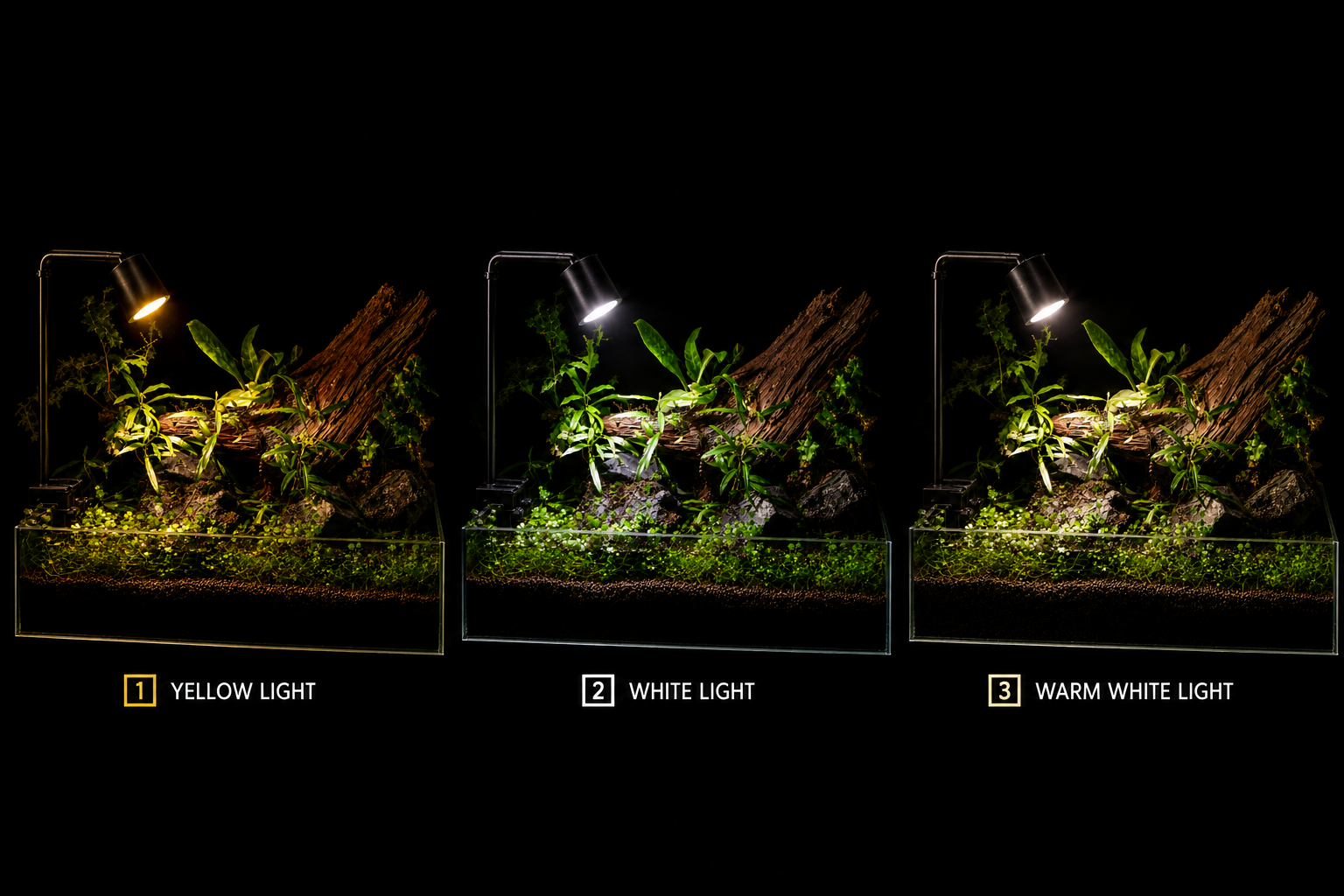 Spot light 5w Color mode Aquarium Spot Light 5W LED spotlight with adjustable 10°–45° beam for aquariums, terrariums, and paludariums