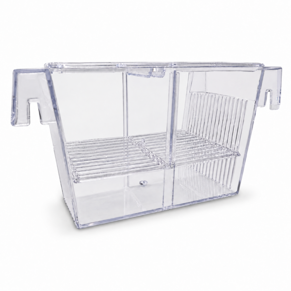 Fish Breeding Box with removable partitions and suction cup mounting for aquarium fish isolation