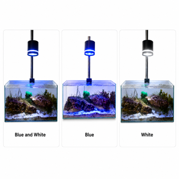 Aquarium Spot Light 20W marine LED spotlight with white blue and blue-white color modes