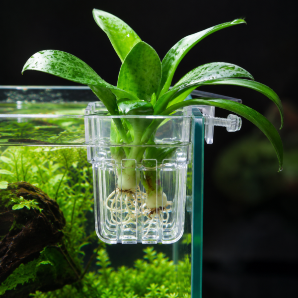 Hanging Plant Pot Plastic for Aquarium Plants clear rim hanging aquarium planter