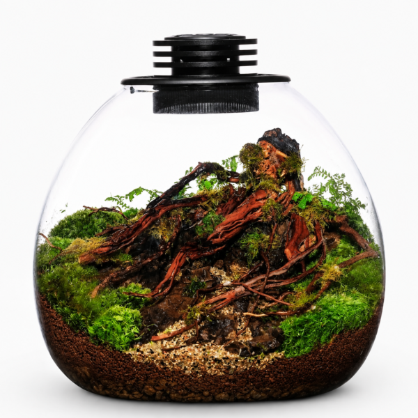 Bioloark Bio Bottle PD 170 glass terrarium display with 3W LED USB 2m cable and 175mm by 195mm body